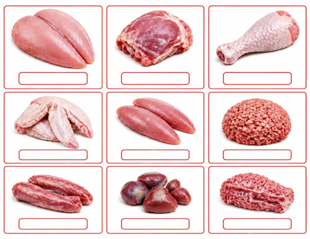 آناتومی بوقلمون